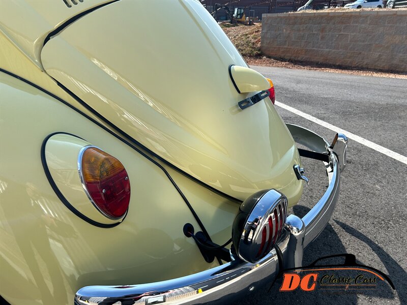 Unknown-Beetle-1965-26