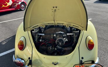 Unknown-Beetle-1965-31