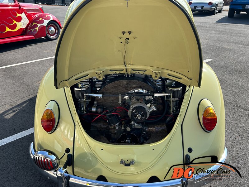 Unknown-Beetle-1965-31