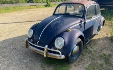 Unknown-Beetle-1965