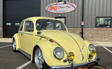 Unknown-Beetle-1965-39