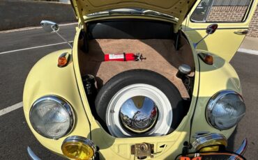 Unknown-Beetle-1965-40