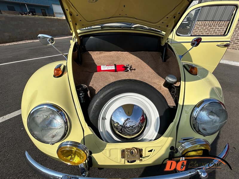 Unknown-Beetle-1965-40