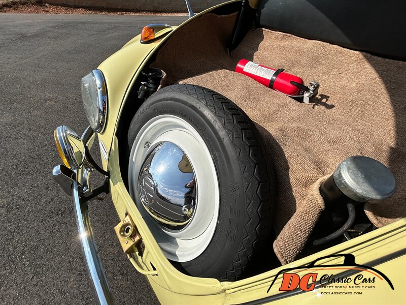Unknown-Beetle-1965-41