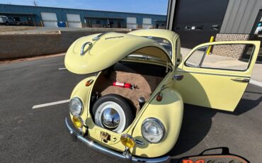 Unknown-Beetle-1965-43