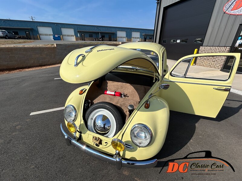 Unknown-Beetle-1965-43