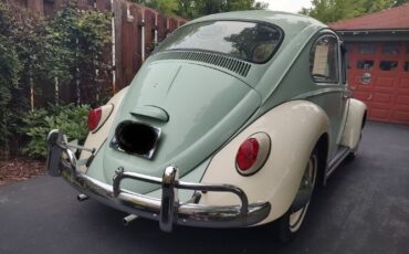 Unknown-Beetle-1965-7