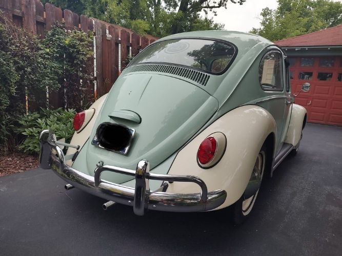 Unknown-Beetle-1965-7