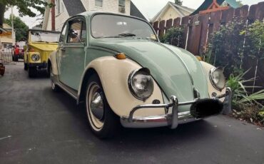 Unknown-Beetle-1965-8