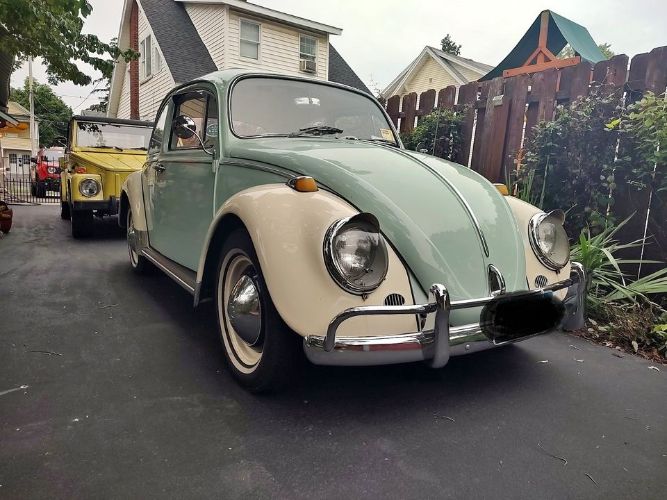 Unknown-Beetle-1965-8