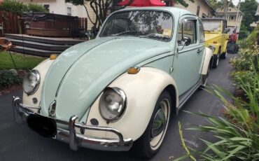 Unknown-Beetle-1965-9