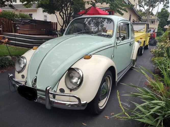 Unknown-Beetle-1965-9