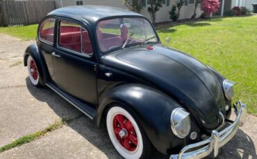 Unknown-Beetle-1965-Black-Red