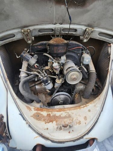 Unknown-Beetle-1965-Gray-Red-1
