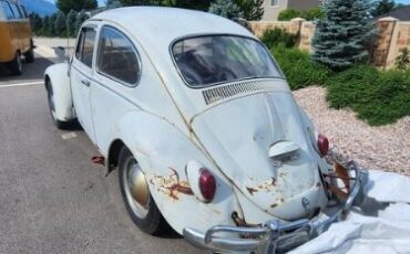 Unknown-Beetle-1965-Gray-Red-3