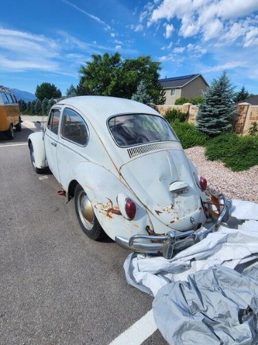 Unknown-Beetle-1965-Gray-Red-3