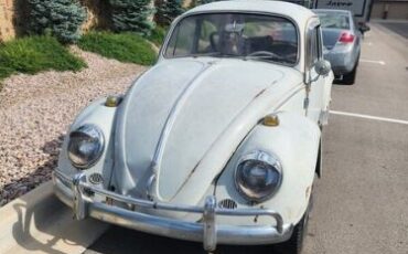 Unknown-Beetle-1965-Gray-Red