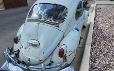 Unknown-Beetle-1965-Gray-Red-4