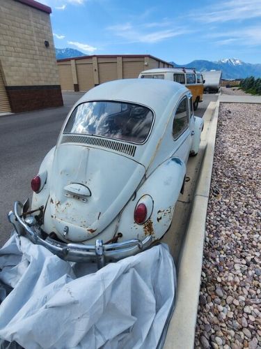 Unknown-Beetle-1965-Gray-Red-4