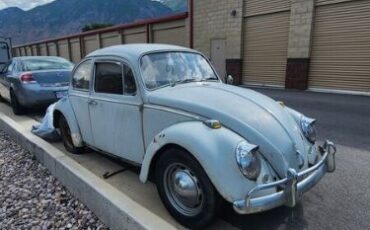 Unknown-Beetle-1965-Gray-Red-5