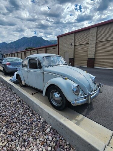 Unknown-Beetle-1965-Gray-Red-5