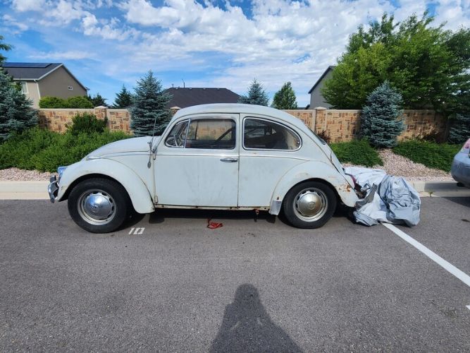 Unknown-Beetle-1965-Gray-Red-6