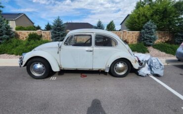 Unknown-Beetle-1965-Gray-Red-7