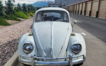 Unknown-Beetle-1965-Gray-Red-8