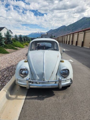 Unknown-Beetle-1965-Gray-Red-8