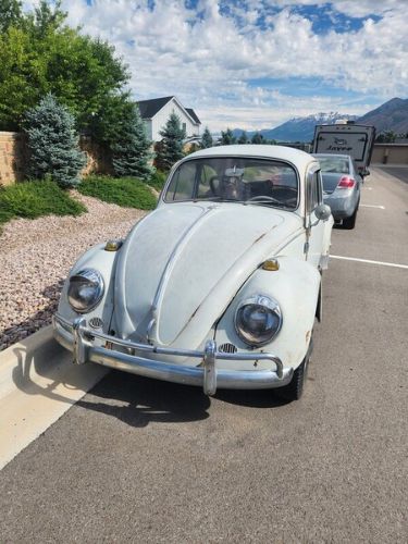 Unknown-Beetle-1965-Gray-Red
