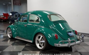 Unknown-Beetle-1965-Green-Beige-14