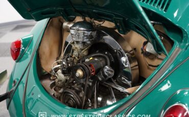 Unknown-Beetle-1965-Green-Beige-34