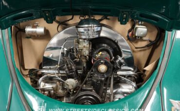 Unknown-Beetle-1965-Green-Beige