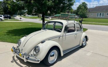 Unknown-Beetle-1965-Pearl-White-Tan-11
