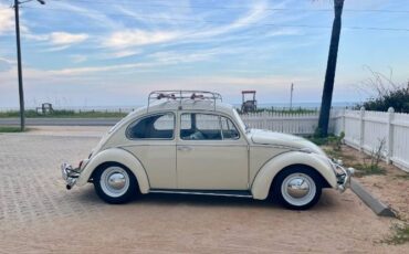Unknown-Beetle-1965-Pearl-White-Tan-2
