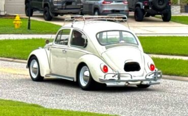Unknown-Beetle-1965-Pearl-White-Tan-5
