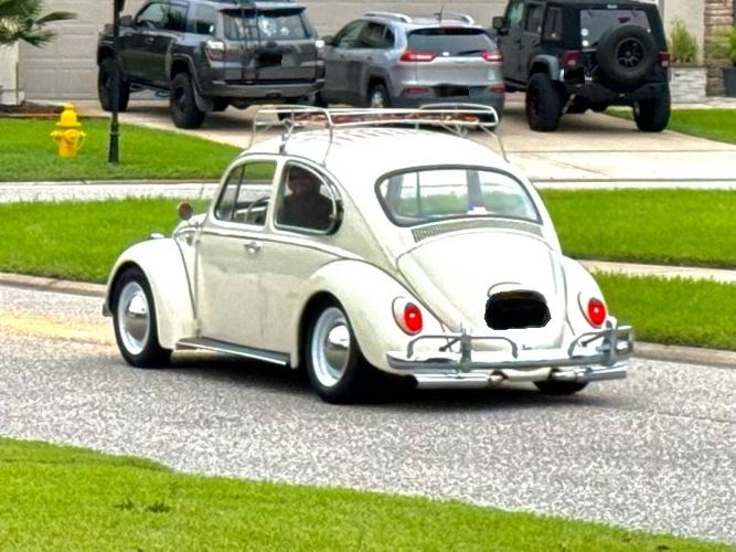 Unknown-Beetle-1965-Pearl-White-Tan-5