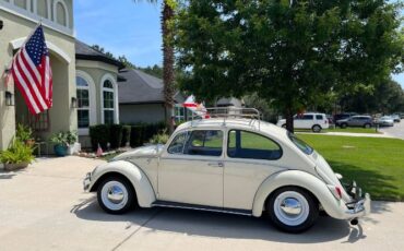 Unknown-Beetle-1965-Pearl-White-Tan-6