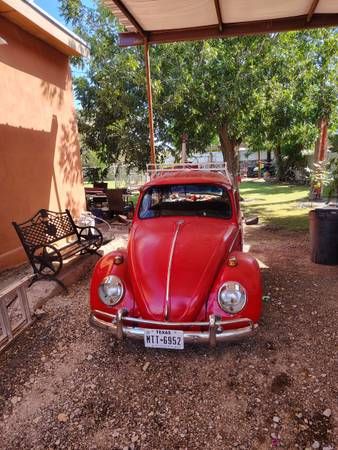Unknown-Beetle-1965-Red-Black-1