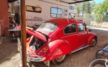 Unknown-Beetle-1965-Red-Black-2