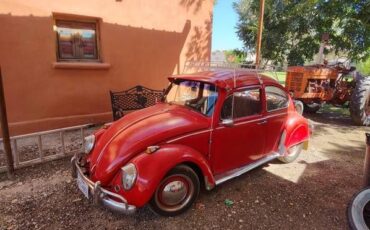 Unknown-Beetle-1965-Red-Black