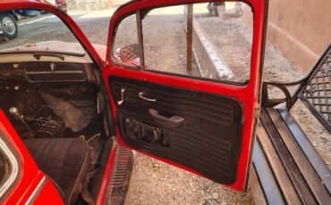 Unknown-Beetle-1965-Red-Black-4