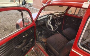 Unknown-Beetle-1965-Red-Black-5