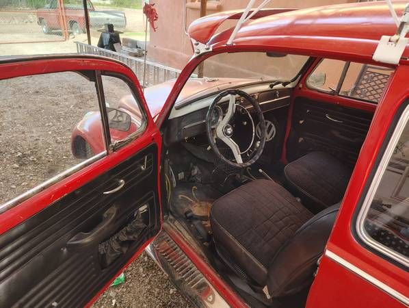 Unknown-Beetle-1965-Red-Black-5