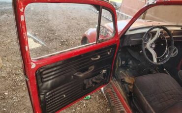 Unknown-Beetle-1965-Red-Black-7