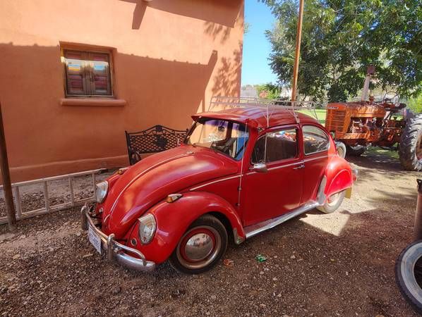 Unknown-Beetle-1965-Red-Black