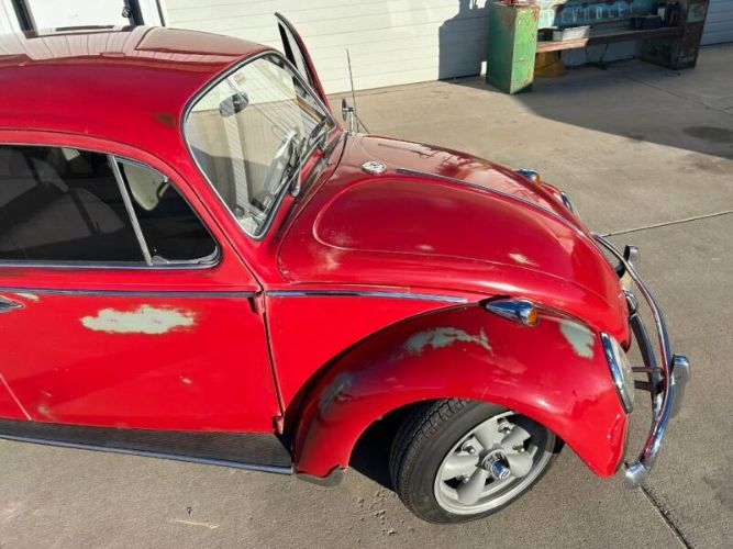 Unknown-Beetle-1965-Red-White-11