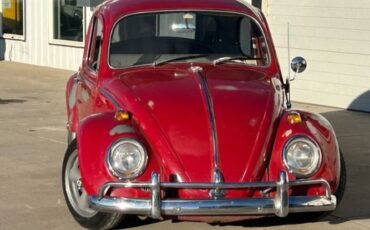 Unknown-Beetle-1965-Red-White-13
