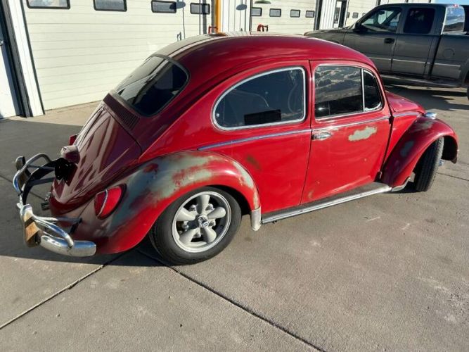 Unknown-Beetle-1965-Red-White-16