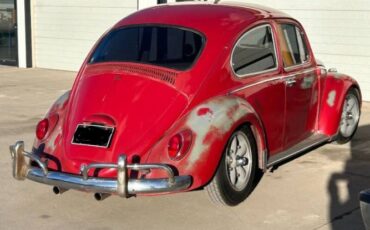 Unknown-Beetle-1965-Red-White-18